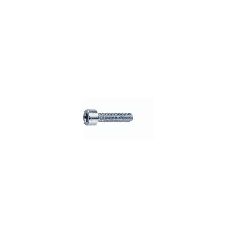 DIN 912 TORNILLO C. CLIND. ALLEN. MEDIDAS: M 8X40 MM. INOX 304